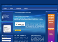 IBSI-US.COM Affordable Custom Web site design Tampa Florida